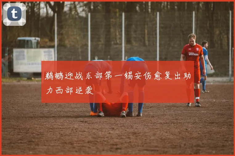 鹈鹕迎战东部第一锡安伤愈复出助力西部逆袭